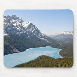 Peyto Sjö - Banff National Park, Alberta, Kanada Musmatta