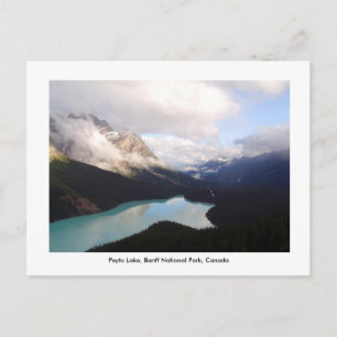 Peyto Sjö / Banff National Park, Kanada. Vykort