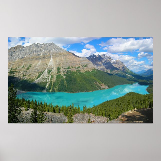 Peyto Sjö i Banff nationalpark Alberta Kanada Poster (Framsidan)