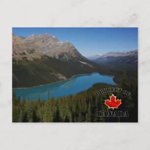 Peyto Sjö Product of Canada Vykort