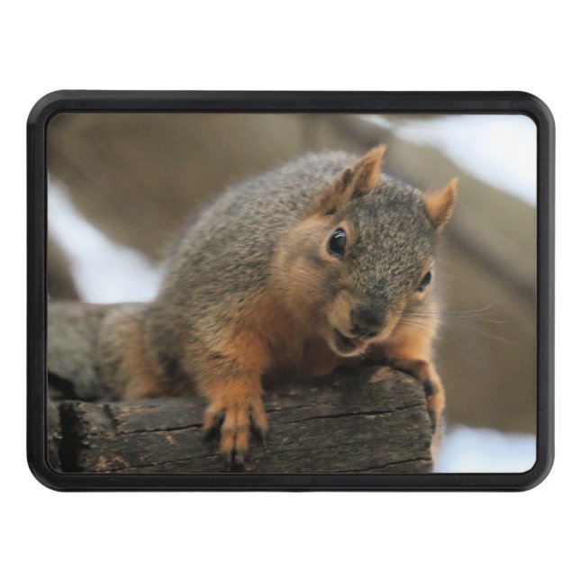 Pfft Dragkroksskydd (Framsidan)