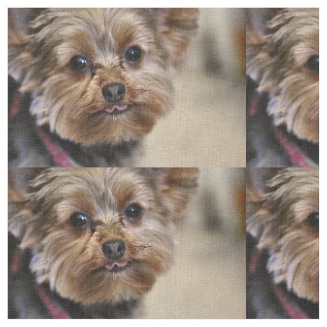 Pfft! Tyg (Närbild)