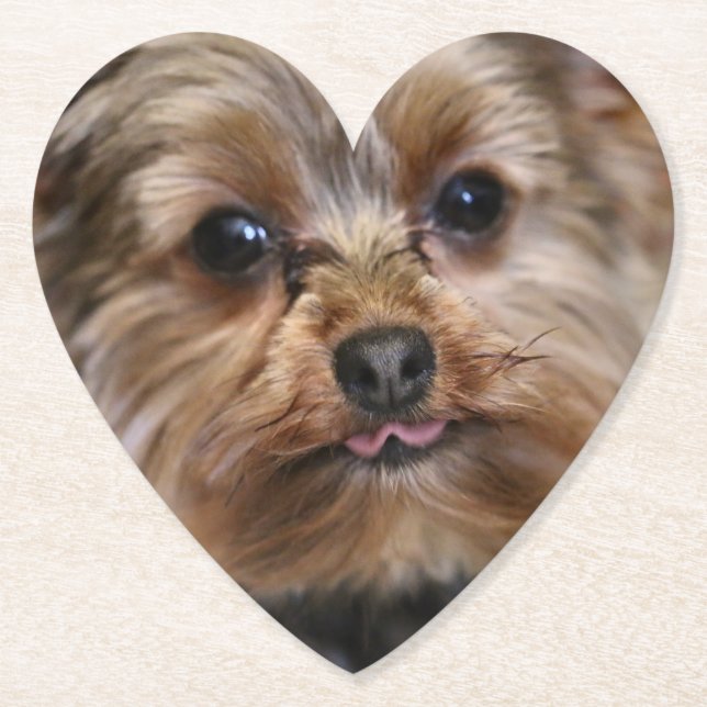 Pfft! Underlägg Papper (Framsida)