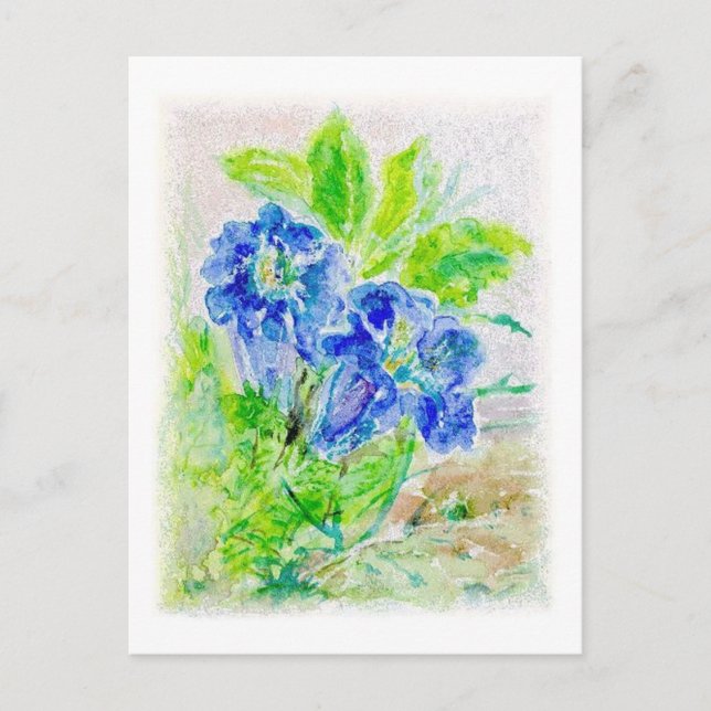 Pflanze blau Blüte Illustration Vykort (Framsida)