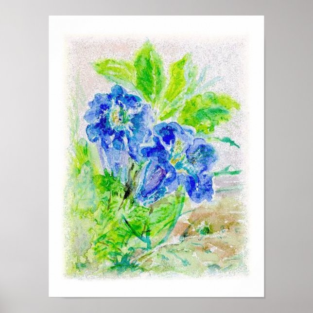 Pflanze blau Blüten Illustration Poster (Framsidan)