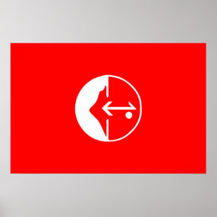 Pflp Colombia politisk flagga Poster