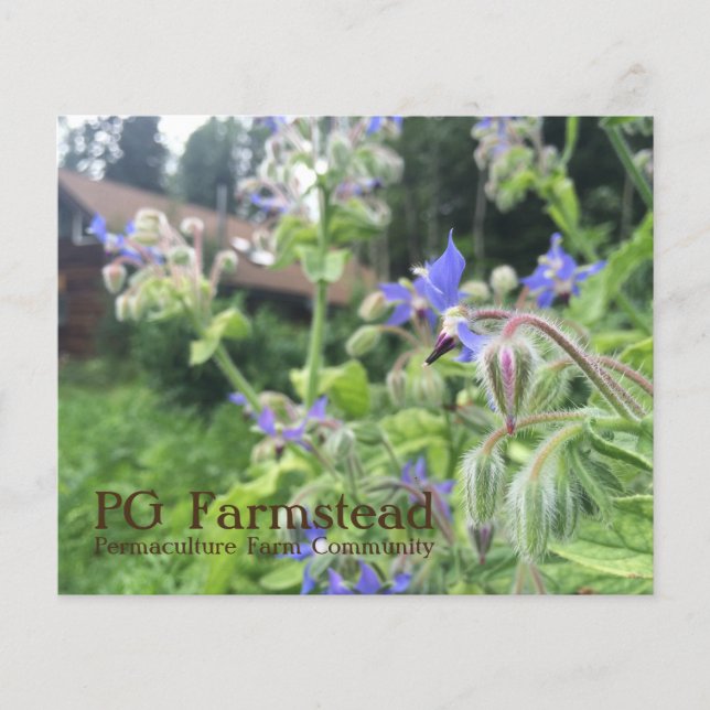 PG Farmstead flyer (Framsidan)