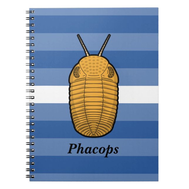 Phacops Trilobite - Prehistorisk djur Anteckningsbok (Framsidan)
