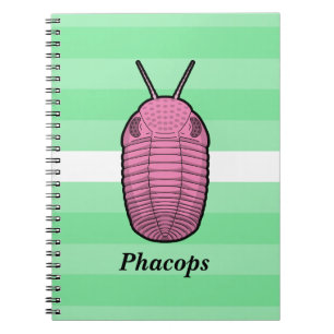 Phacops Trilobite - Prehistorisk djur Anteckningsbok