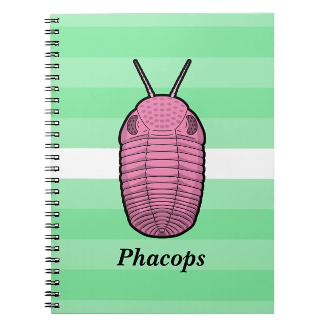 Phacops Trilobite - Prehistorisk djur Anteckningsbok (Framsidan)