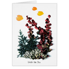 Phaedras Phantasies - under havet Hälsningskort