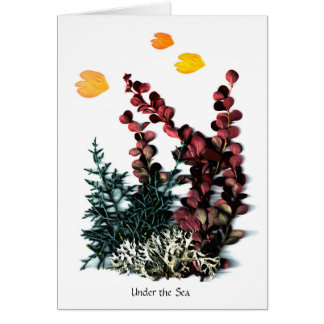 Phaedras Phantasies - under havet Hälsningskort
