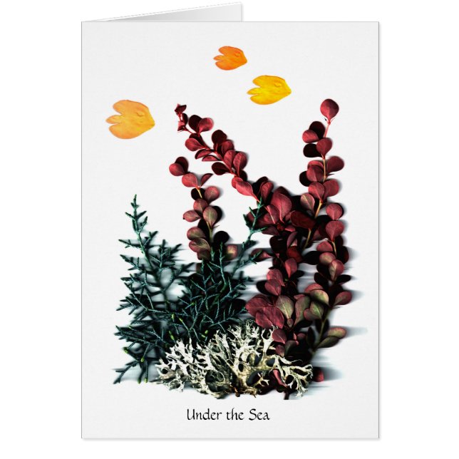 Phaedras Phantasies - under havet Hälsningskort (Framsidan)