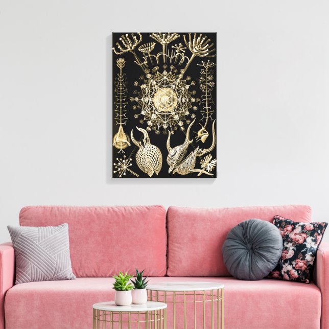Phaeodaria | 61 Guld | Ernst Haeckel | Canvastryck (Insitu (Vardagsrum))
