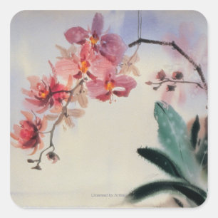 Phalaenopsis Fyrkantigt Klistermärke