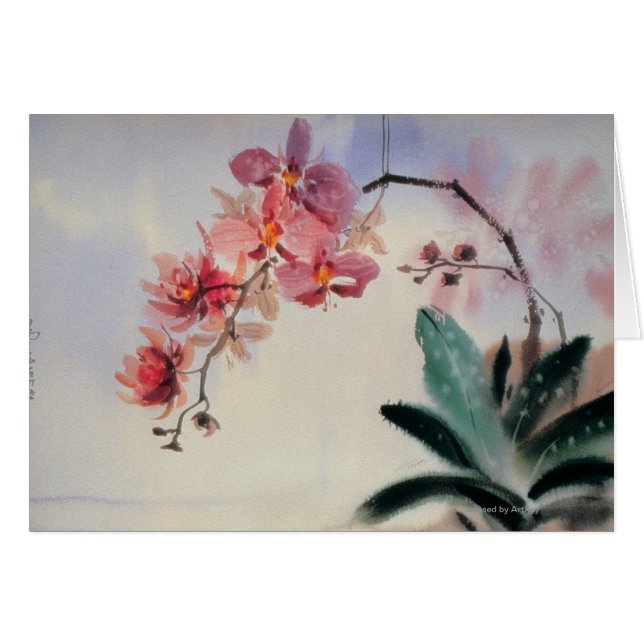 Phalaenopsis Hälsningskort (Framsidan Horizontal)