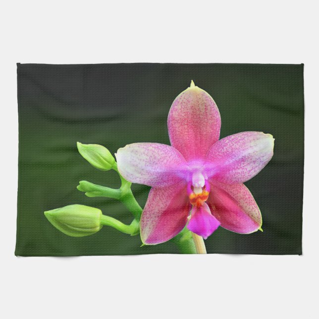 Phalaenopsis liodoro Küchenhandtuch 40,6cm x 61cm Kökshandduk (Horisontell)