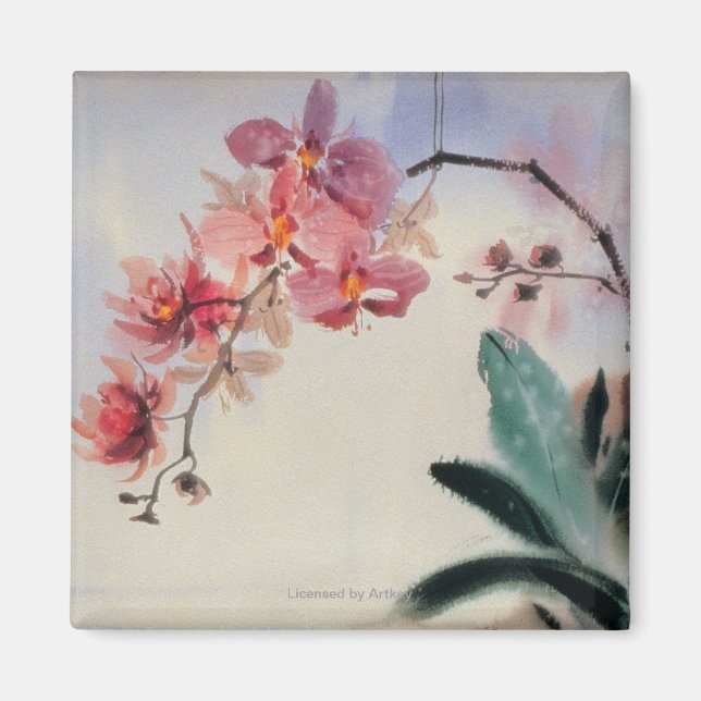 Phalaenopsis Magnet (Framsidan)