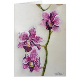 Phalaenopsis "malOrchid" 5" x 7", med kuvertet Hälsningskort