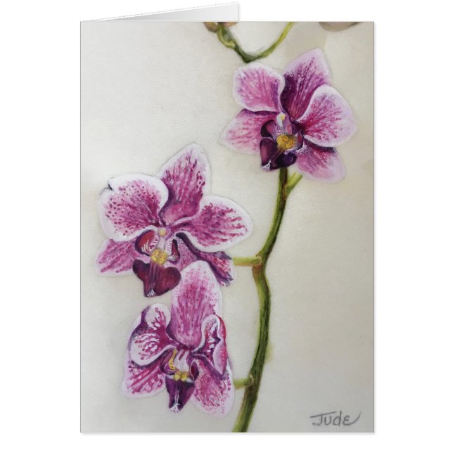 Phalaenopsis "malOrchid" 5" x 7", med kuvertet Hälsningskort (Framsidan)
