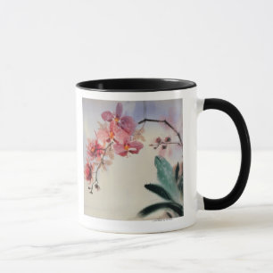 Phalaenopsis Mugg