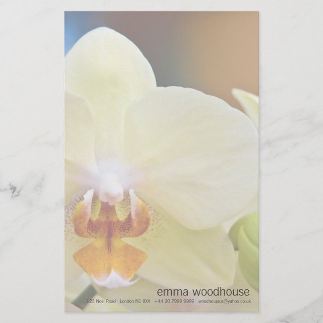 Phalaenopsis Orchid Brevpapper (Framsida)