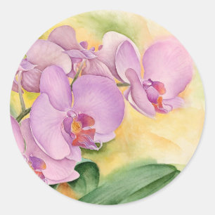 Phalaenopsis Orchid Flowers - Multi Runt Klistermärke