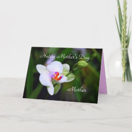 Phalaenopsis Orchid-kort Lycklig Mors dag Mor Kort
