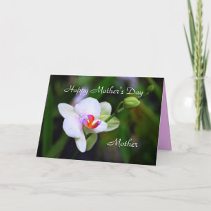 Phalaenopsis Orchid-kort Lycklig Mors dag Mor Kort