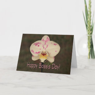 Phalaenopsis orchid Lycklig Chef s Day Kort
