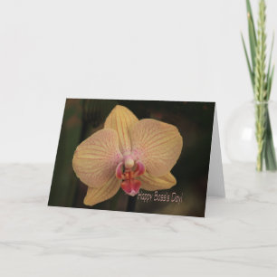Phalaenopsis orchid Lycklig Chef s Day Kort