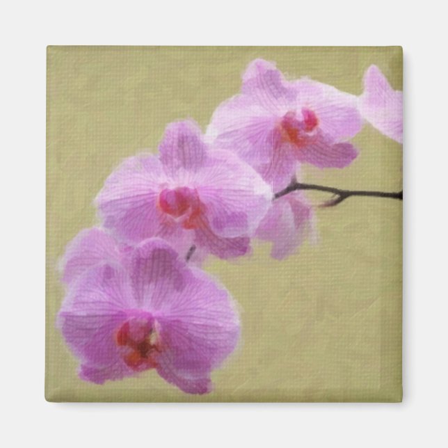 Phalaenopsis Orchid Magnet (Framsidan)