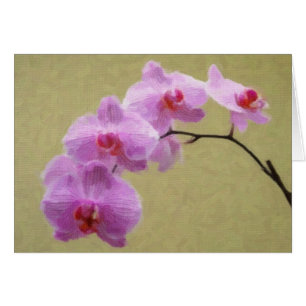 Phalaenopsis Orchid OBS Kort