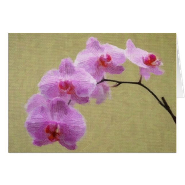 Phalaenopsis Orchid OBS Kort (Framsidan Horizontal)
