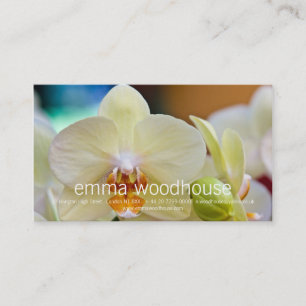 Phalaenopsis Orchid Visitkort