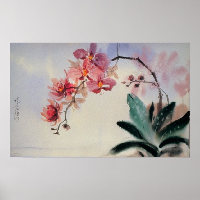 Phalaenopsis Poster (Framsidan)