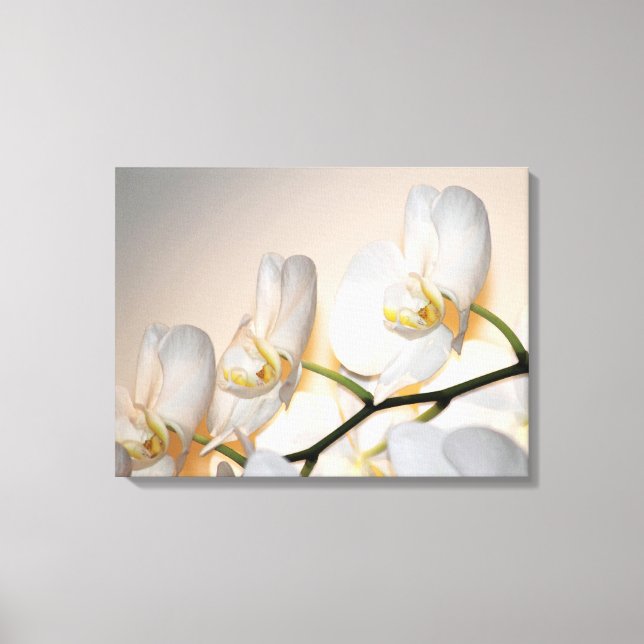 Phalaenopsis Sogo Yukidian Orchid Wrapped Canvas (Framsida)