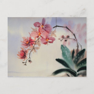 Phalaenopsis vykort
