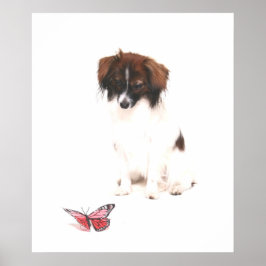 Phalene Papillon med Butterfly Poster