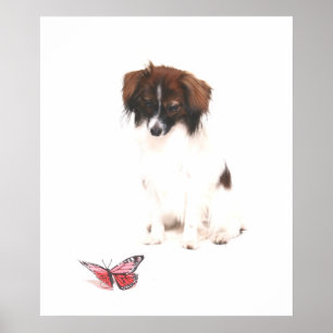 Phalene Papillon med Butterfly Poster