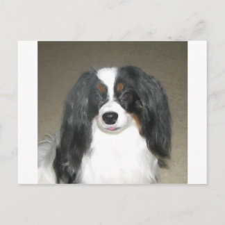 Phalène Papillon Vykort