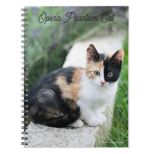 Phantom Opera Cat Anteckningsbok