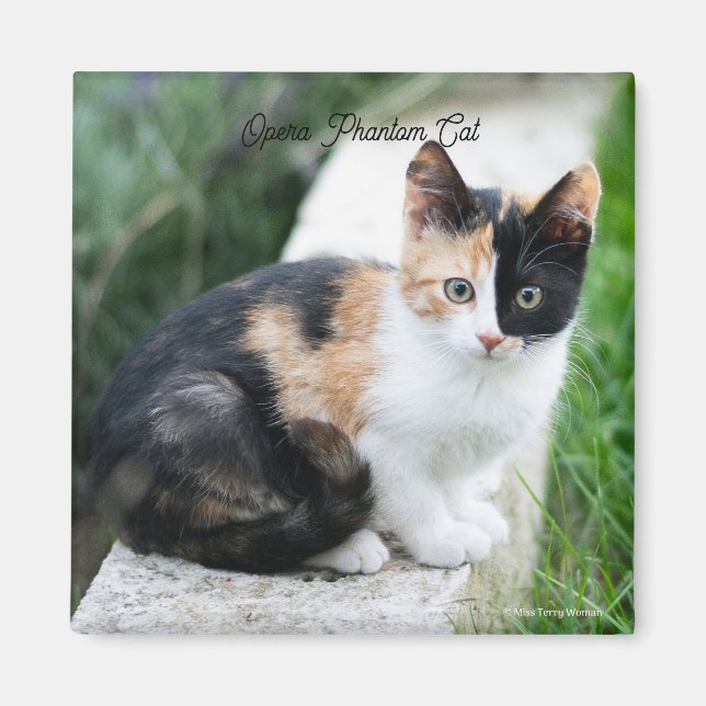 Phantom Opera Cat Magnet (Framsidan)