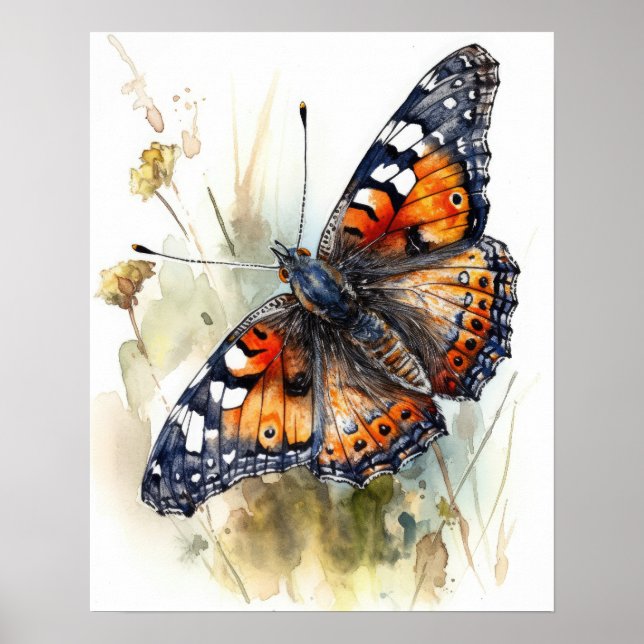 Phaon Crescent Butterfly Art Print Poster (Framsidan)