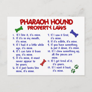 PHARAOH HOUND EGENDOM LAGSTIFTNING 2 VYKORT