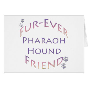 Pharaoh Hound Furever Hälsningskort
