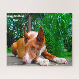 Pharaoh Hound Hund. Pussel