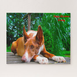 Pharaoh Hound Hund. Pussel