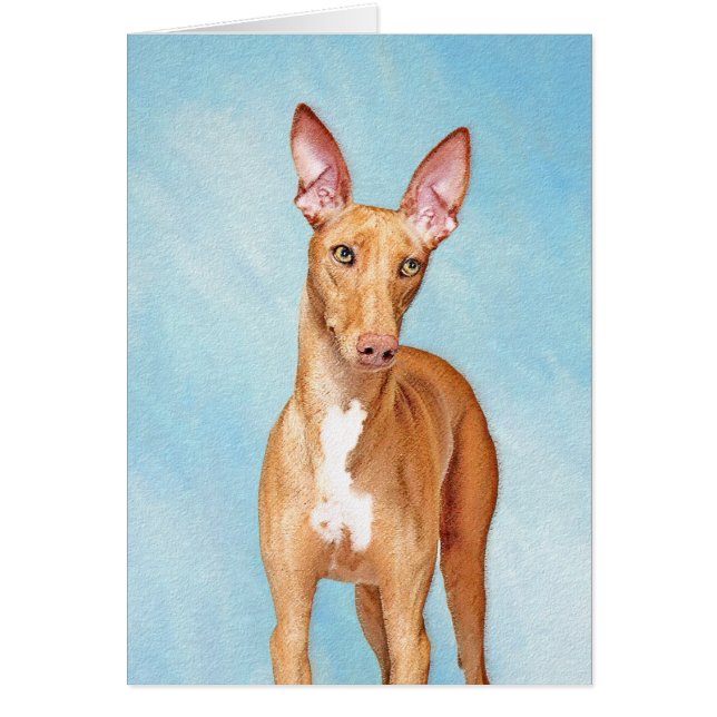 Pharaoh Hound Painting - Cute Original Hund Art Hälsningskort (Framsidan)