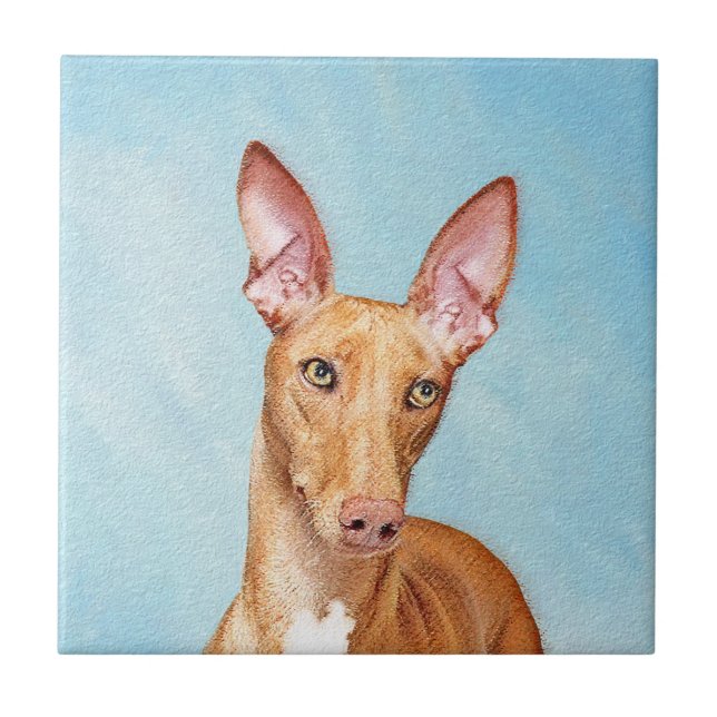 Pharaoh Hound Painting - Cute Original Hund Art Kakelplatta (Framsidan)